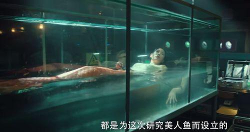 美人鱼国产烂片视频在线,在线视频揭示剧情漏洞与特效尴尬