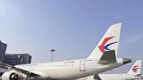 国产机飞机视频