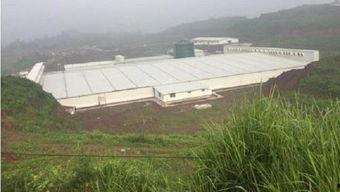 国产猪场建设视频,现代化养殖技术引领农业发展新篇章