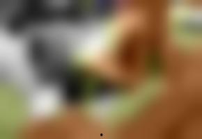 国产欧美在线中文视频,跨越国界，共享视听盛宴