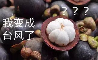 国产山竹测评视频大全,视频大全带你领略美味与品质