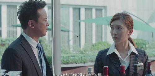 国产剧情演绎视频秘书,揭秘视频秘书的智慧与魅力